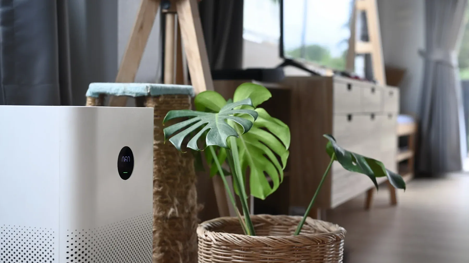 Air purifier next to a snake plant in the bedroom